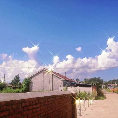 猫和老鼠欢乐互动一号玩家版下载